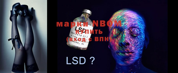 гашик Алзамай