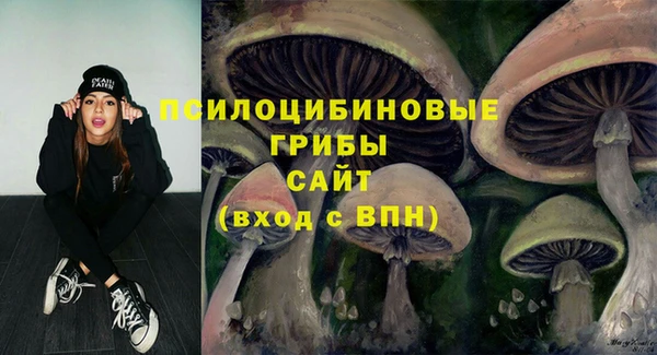 кокс Алексин