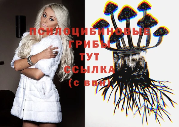 кокс Алексин