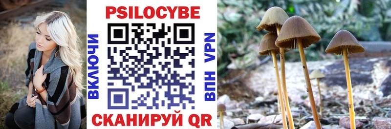 цены   Татарск  площадка клад  Псилоцибиновые грибы Psilocybine cubensis 